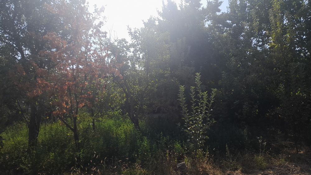 Srochna yer uchastka sotiladi  sotigi 12 000$ dannarxi kelishiladi