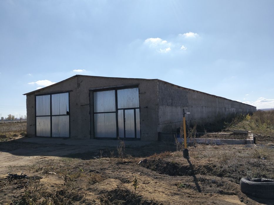 Продам базу под откорм и т.д.