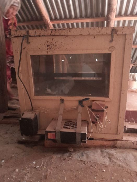 Термокамера для пчел от клещей