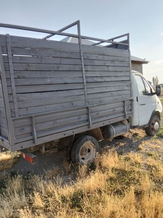 Газел сатылады срочна жагдайы орташа