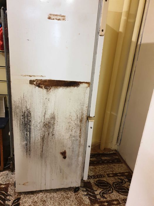 Хладилник Snaige - подарявам