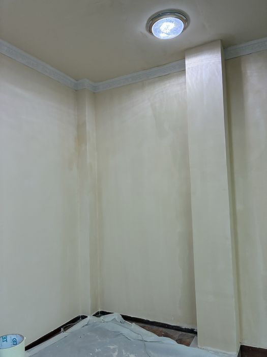 Компания (DEMO) Моляр