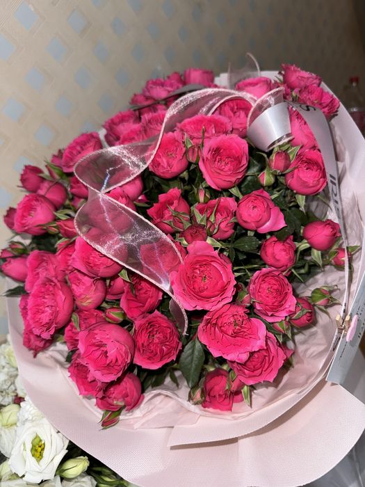 Продам цветы.. вчера ночью купили