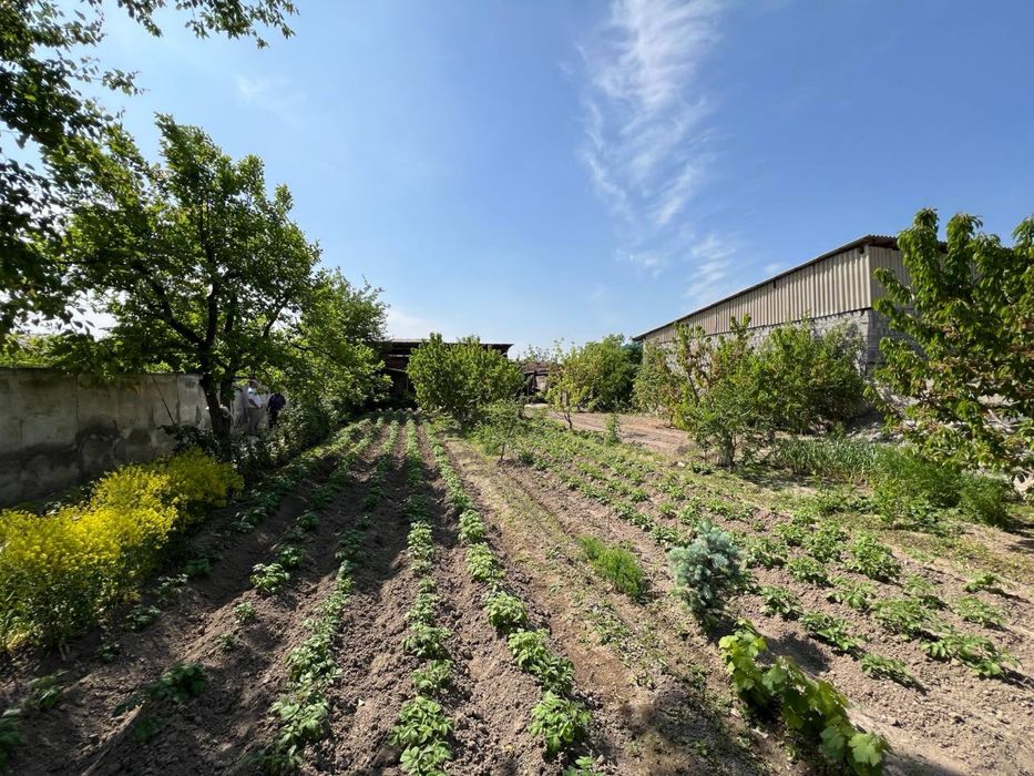 Аэропорт  эко шахар кириш светафоридан ўнг тарафида чек сотилади