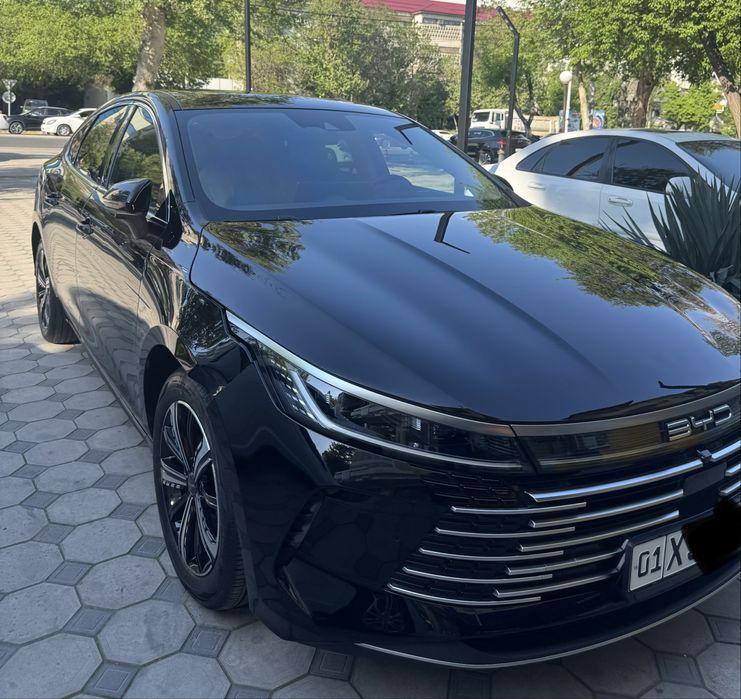 Byd Chazor full 2023/25 ARENDA