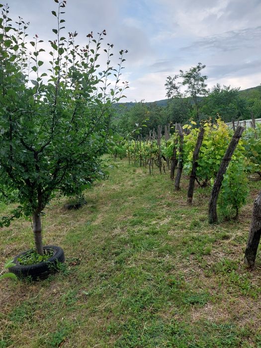 Casă de vânzare 2 camere-Hilița-Costuleni