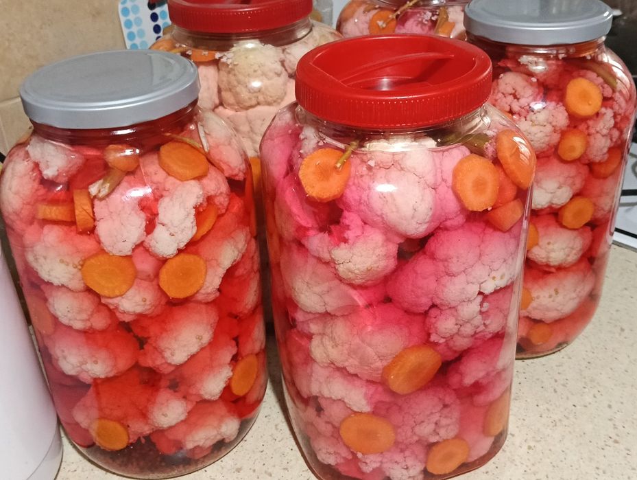 Conopida murats ,bidon 5L