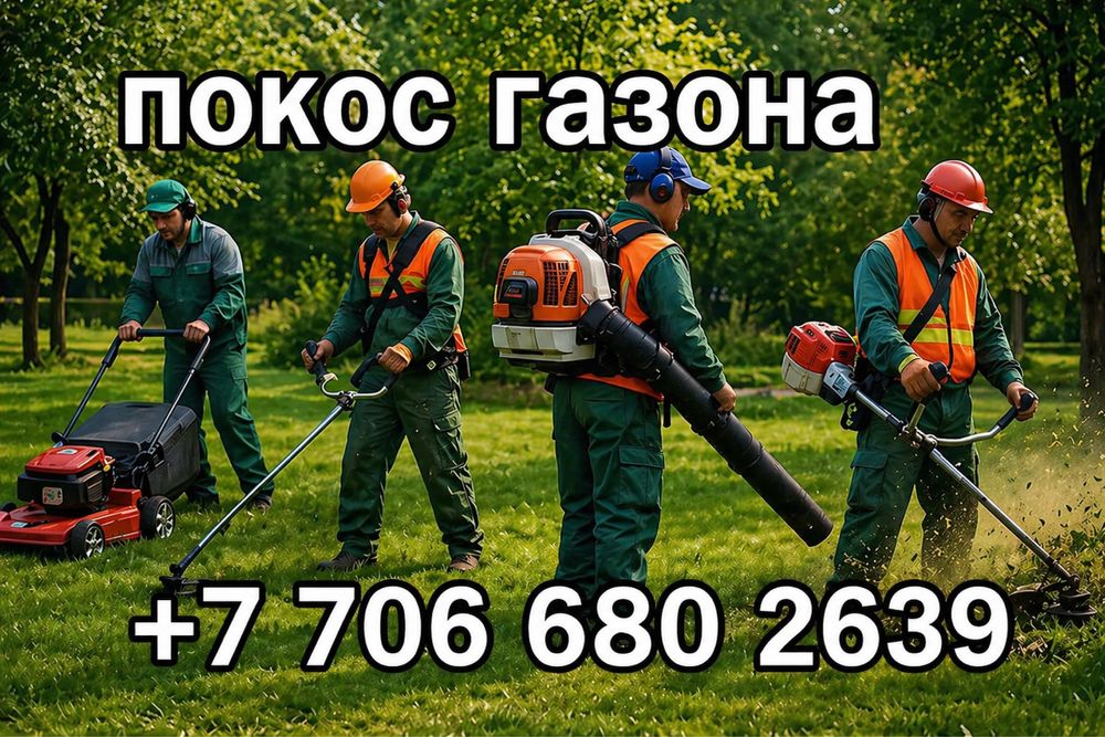 Покос газона не дорого