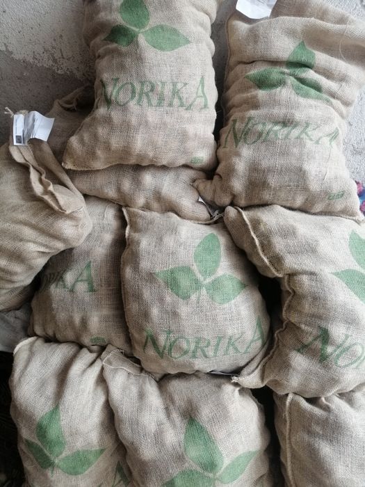 Картофи Семе Сорт Сорая