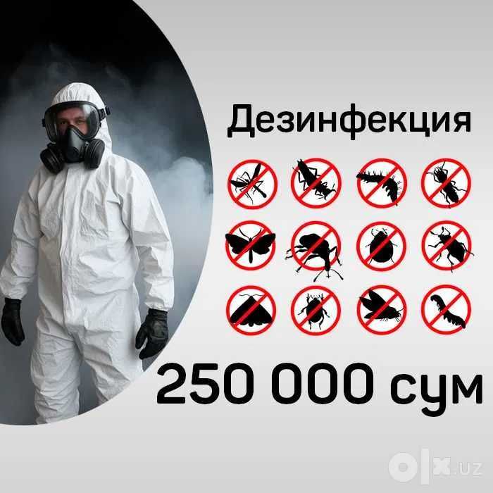 Клоп таракан бурга Дезенфекция дизенфекция дезинфекция