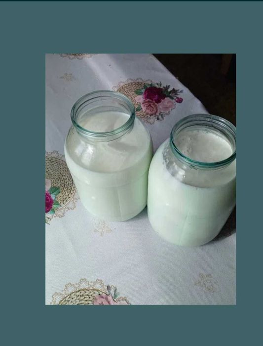 Натуральное свежее козье молоко