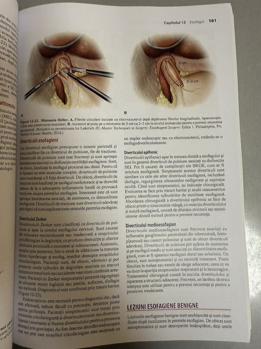 Lawrence Rezidentiat