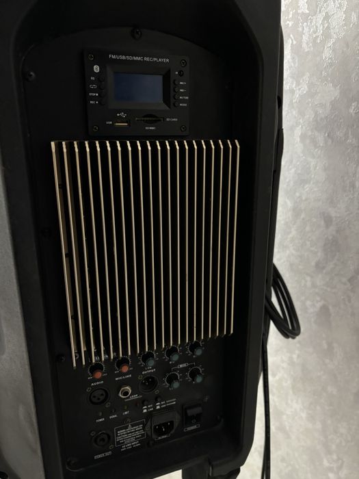 Колонка профессиональная