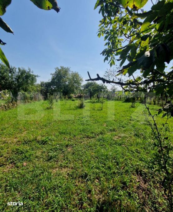 Casa cu teren in Uriu – renovata, curte, gradina si teren arabil
