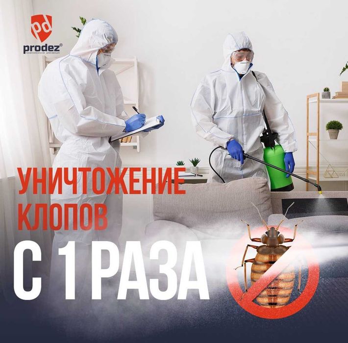 Дезинфекция/дезинсекция/дератизация - клопы, тараканы, скорпионы ...