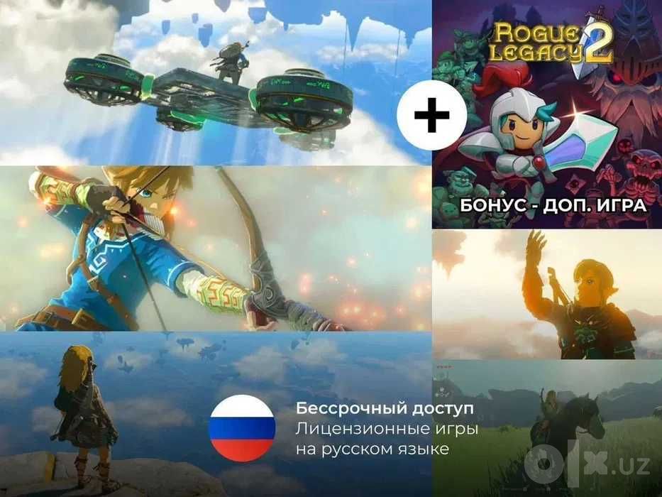 The Legend of Zelda Tears of the Kingdom Switch 1-2