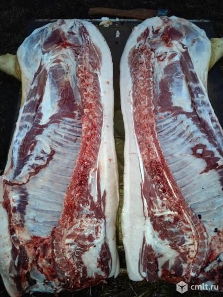 Продам мясо свинины