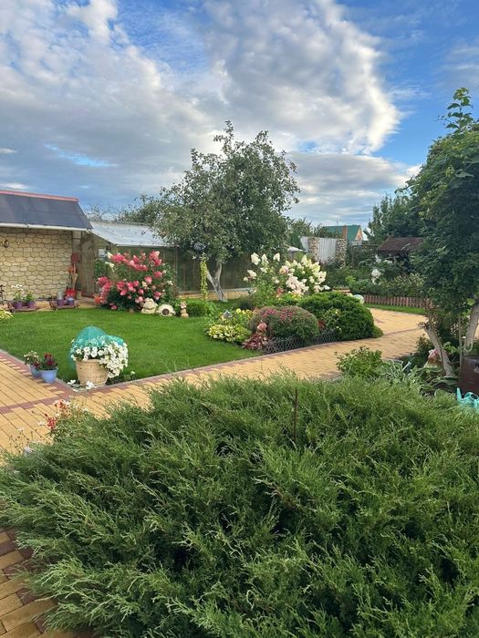 Озеленение. Благоустройство