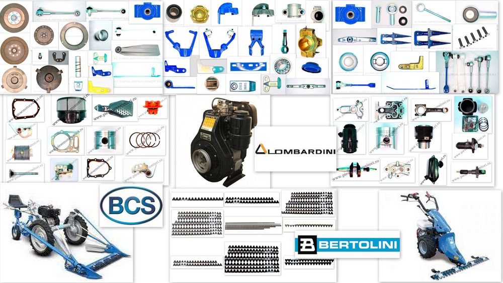 Carburator motor ACME - LOMBARDINI