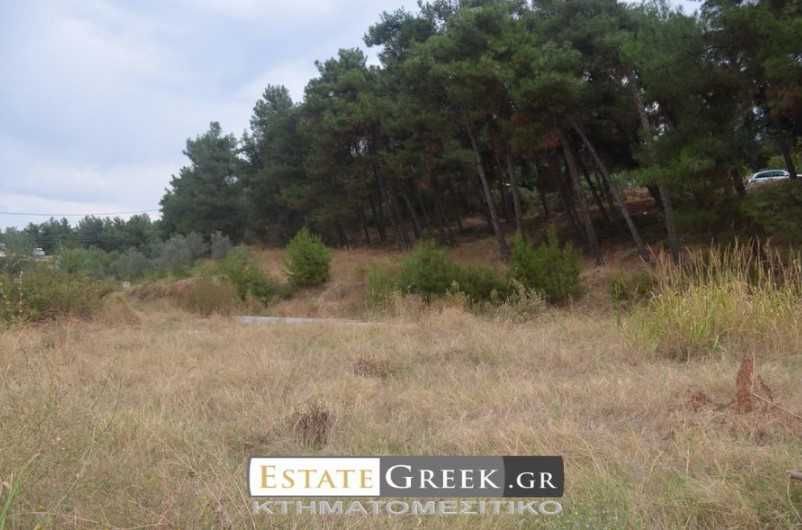 Продава се Парцел в Пловдив, Филипово - 470 кв.м за 81 €/кв.м - Снимка #2