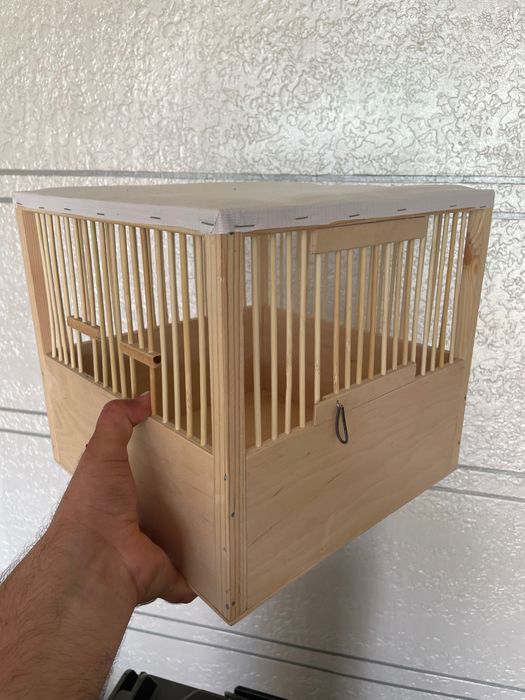 Bedana qafaslari optim