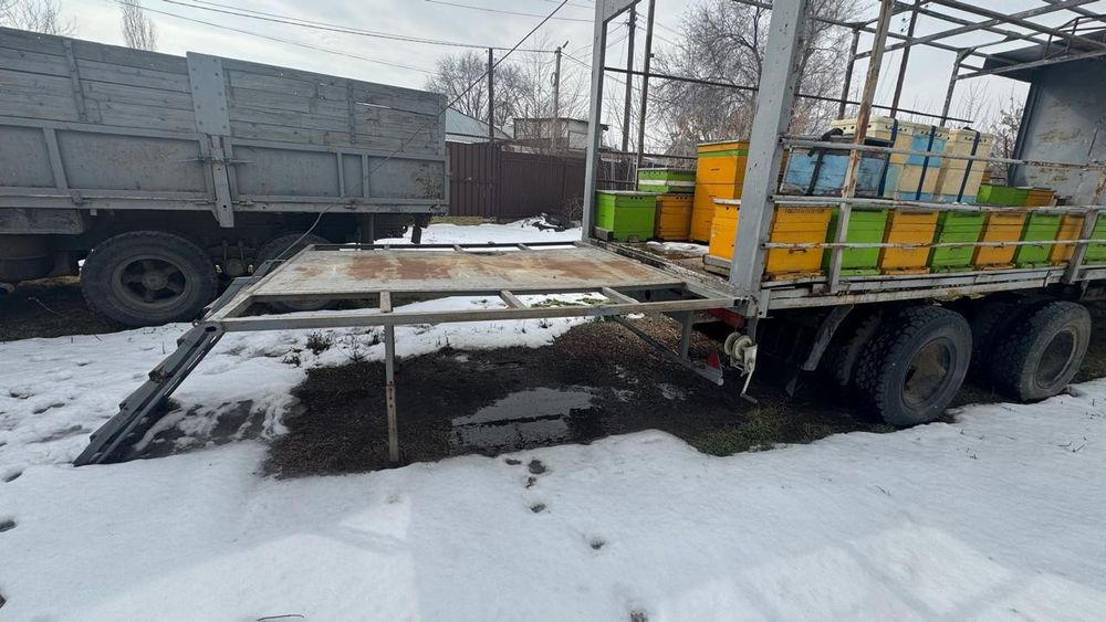Пчелопавильон. Пчелы. Ульи. Мёд. Прицеп