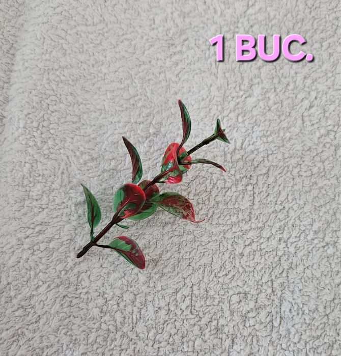 ACVARIU 12 litri + accesorii