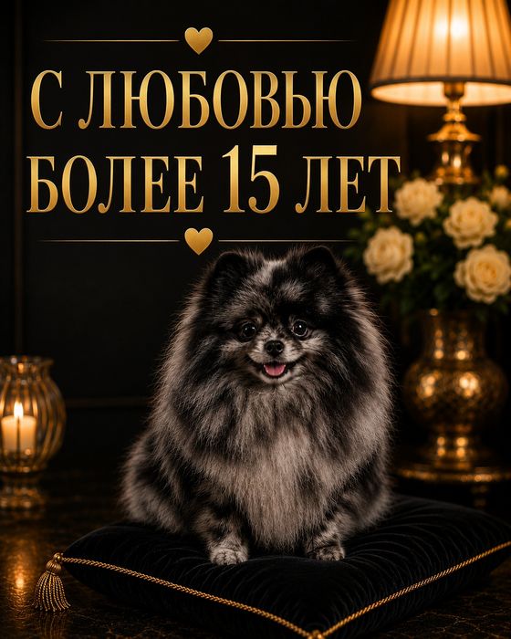 Плюшевый щенок в самые заботливые руки