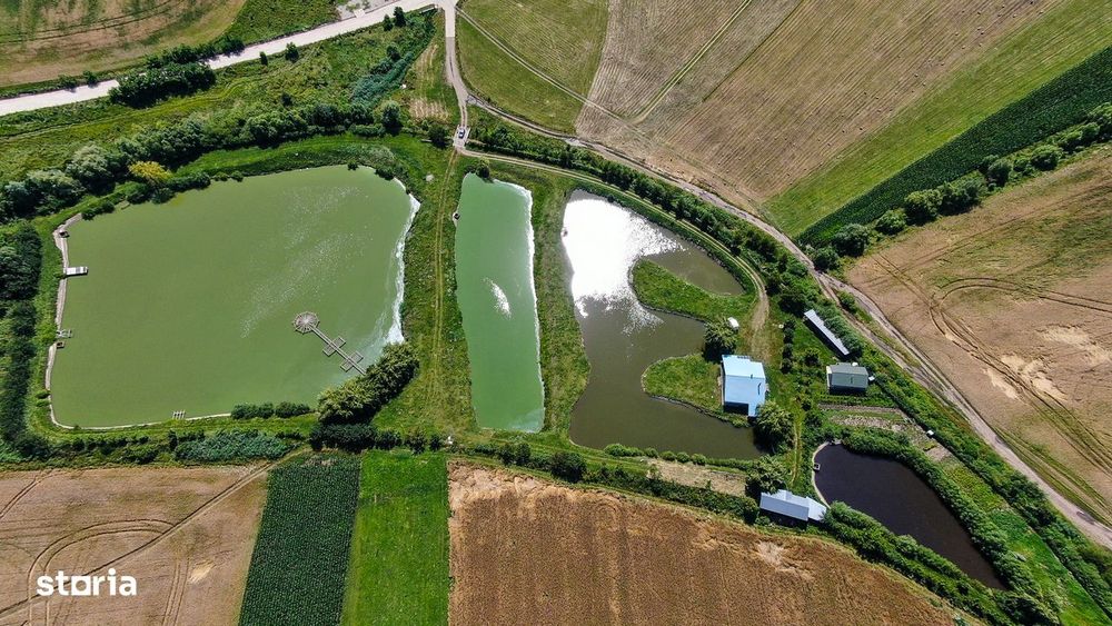 Proprietate spectaculoasă de 31.500 mp, cu iazuri și case locuibile