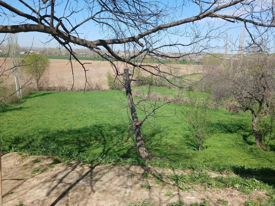 Уй сотилади Юкори Чирчикда