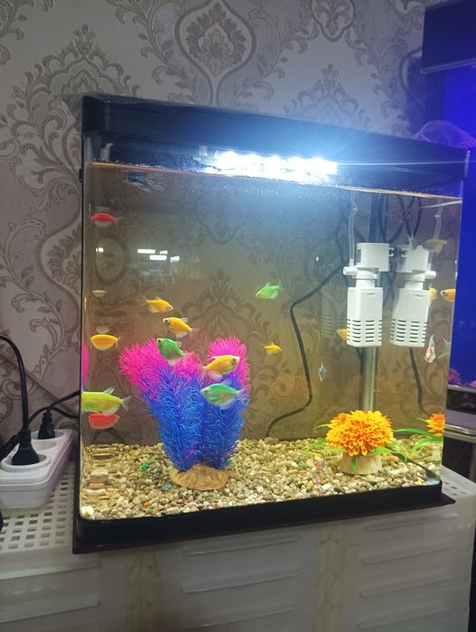 Xitoy 30 litrli akril akvarium komplekti