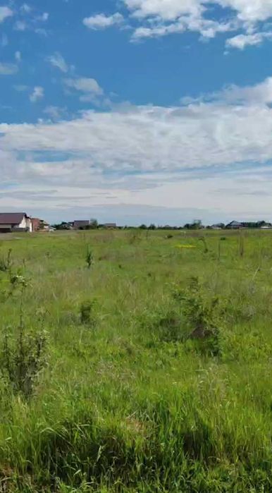 Teren intravilan 2600 mp – Dumbrava Roșie / Dâmburi 3/4