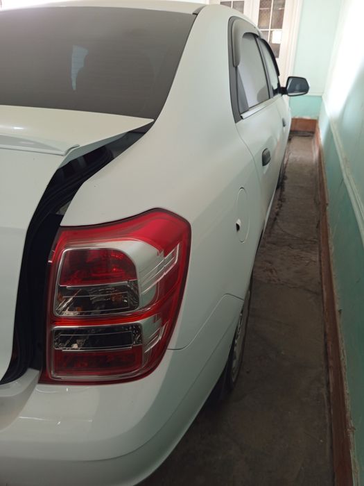 янгидай турибти,