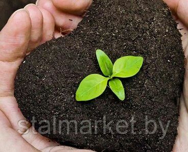 Биогумус биринчи сортли сотилади