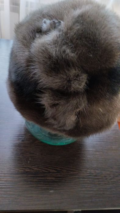 Продаю шапки норковые