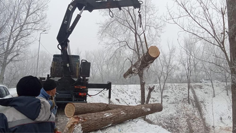 Услуги манипулятора