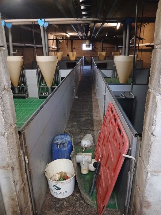 Boxe pentru fătare și furajare de vânzare