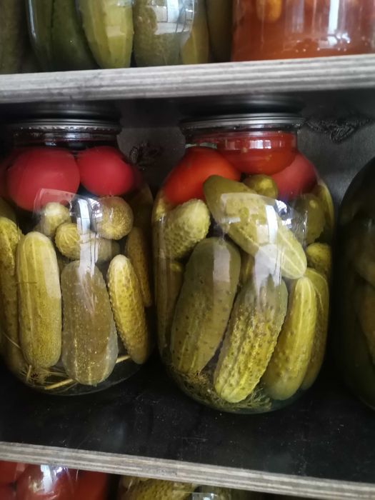 Маринованные огурцы, помидоры.