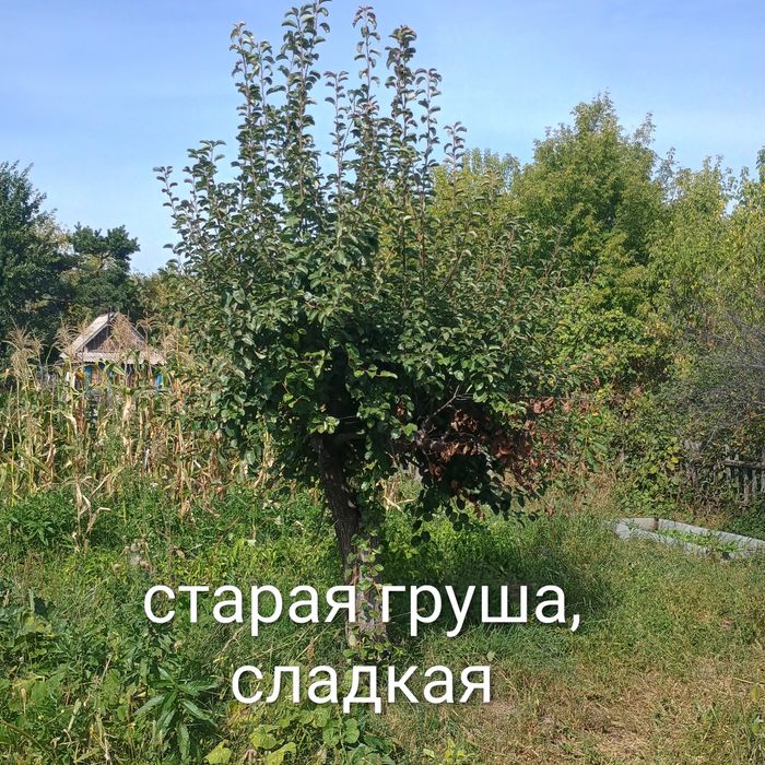 Продам дачу 19 маршрут