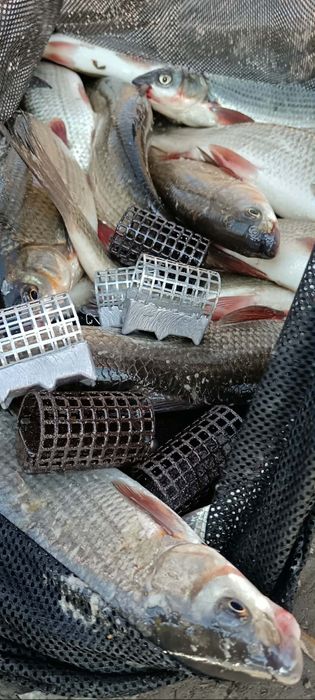 Шаранджиско олово и кошнички за фидер!!! Всички грамжи и форми  Топ цени и качество най вече! Цени за магази и на едро!!!