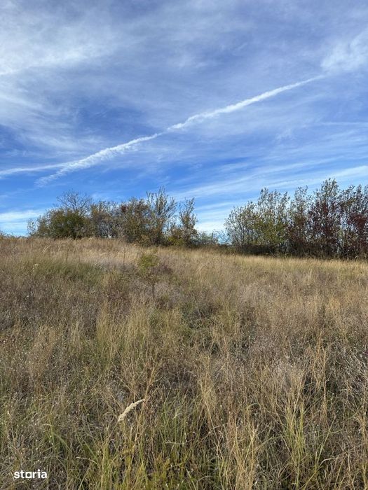 Teren intravilan 5246 mp – Malu Rosu, Ceptura – acces drum principal