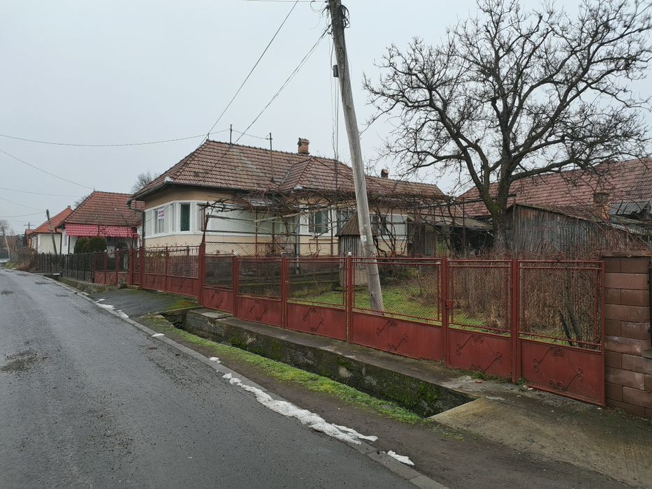 Casa de vanzare in Ibanesti