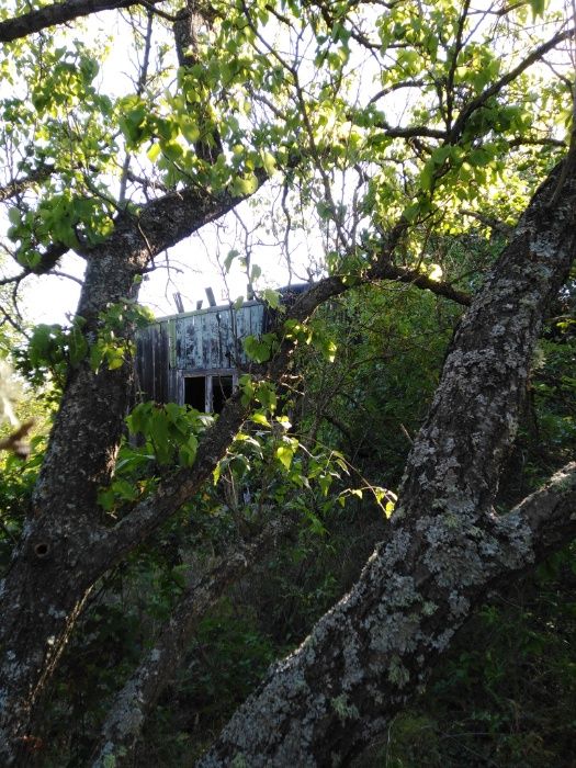 ниски цени изрязване и извозване на буренясали места