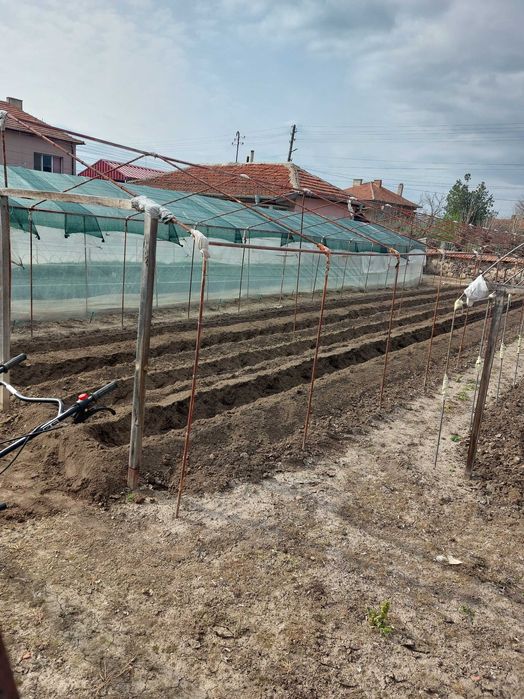 Оранжерия 20/4/2.3 м.