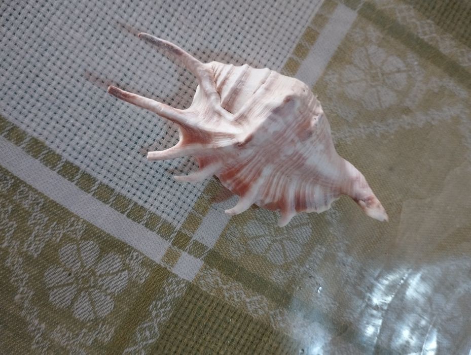 Аквариумный декор.