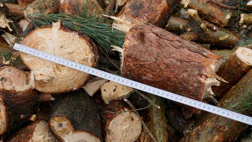 Tocator crengi RP200 cu banda si volanta