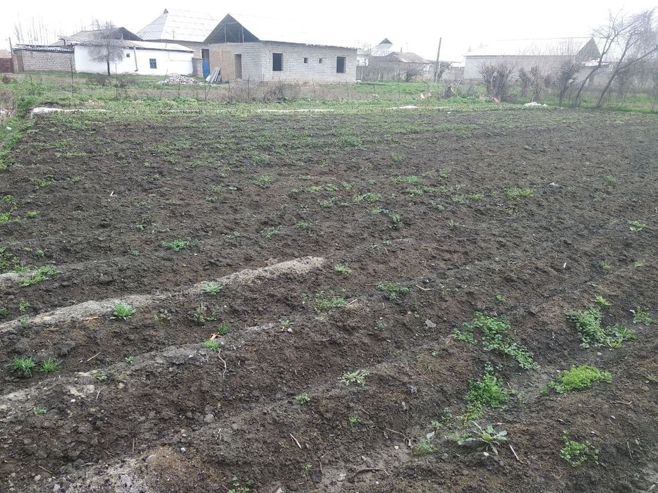 Yer sotiladi To'y tepa qora suv 6 sotix