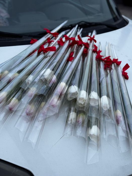 Голландские тюльпаны