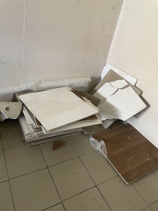 Отдам даром писать на ватсапп