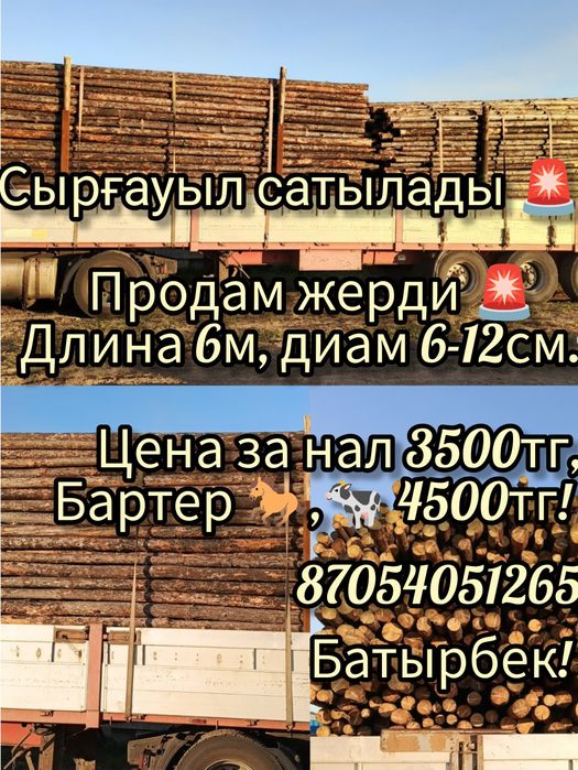 Шөп! Рулон с доставкой,